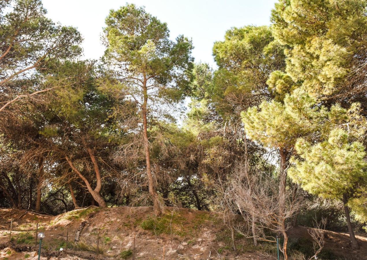 Appartamento Sulla Spiaggia Gallipoli Kültér fotó